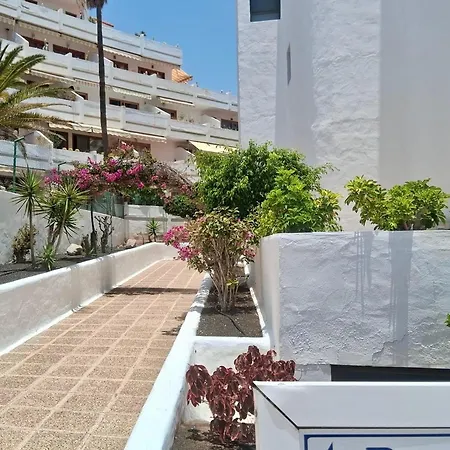 Apartment Attic In Adeje Near